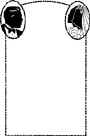 border7.jpg (12400 bytes)